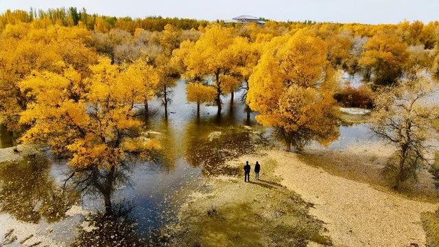 火车沿途风景最佳路线夏天，国内这些赏秋火车路线
