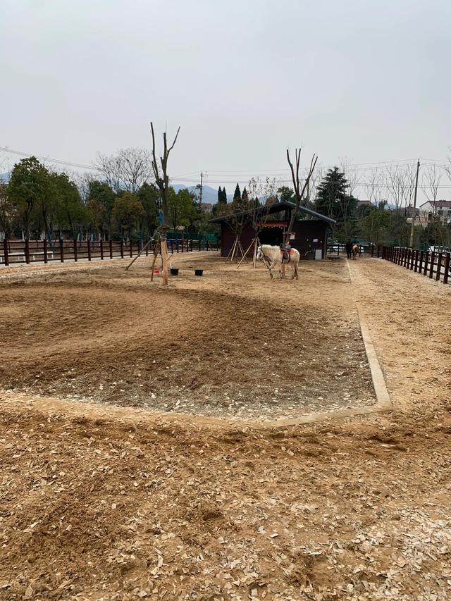 南京冬天哪里好玩，冬季南京遛娃必去景点