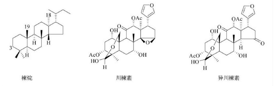 萜类的作用及功能，植物功效成分-三萜及其苷类