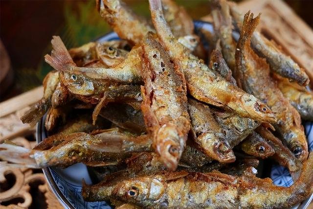 足浴鱼疗是什么鱼，足疗鱼退休后去了哪里