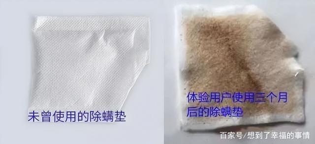 螨虫最怕的土办法，家里老人小孩老过敏