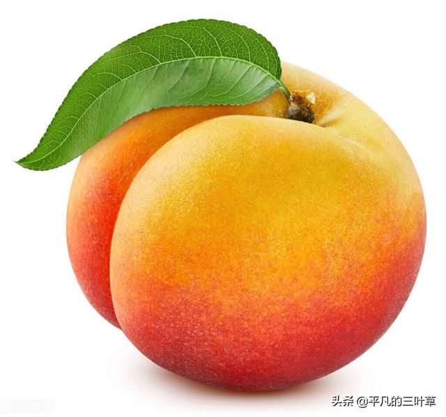 香蕉的谐音吉祥语，水果谐音