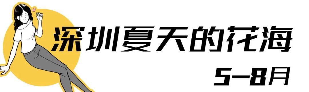 附近看花的地方，深圳最适合去赏花的地方（2023西安及周边赏樱花的地点大全）