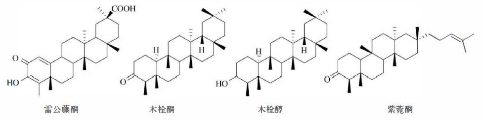 萜类的作用及功能，植物功效成分-三萜及其苷类