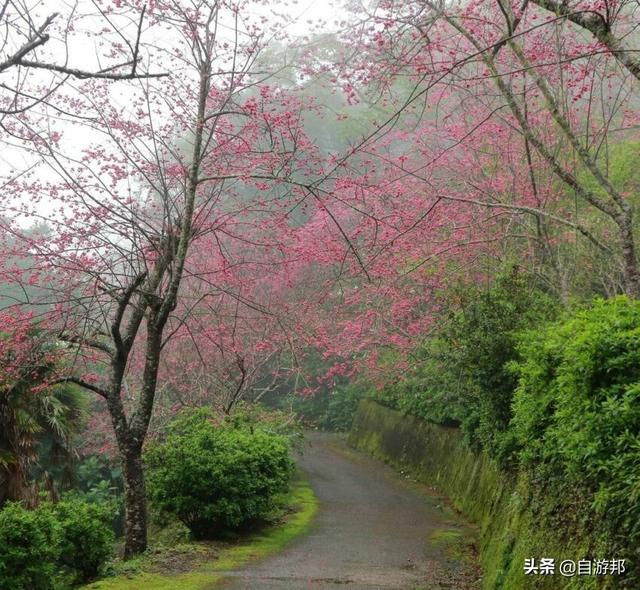 日本赏樱花著名景点，这些赏樱地等你打卡