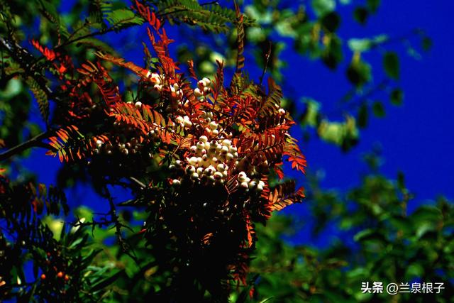 兰州黄土山旅游景点，兰州北山行随感12月23