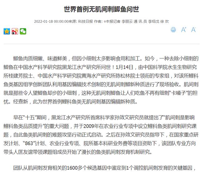 野钓无刺鲫鱼，了解有刺和无刺后再做选择