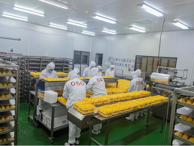 章丘煎饼卷子的做法，多年没吃过农村柴火灶烙制的煎饼了