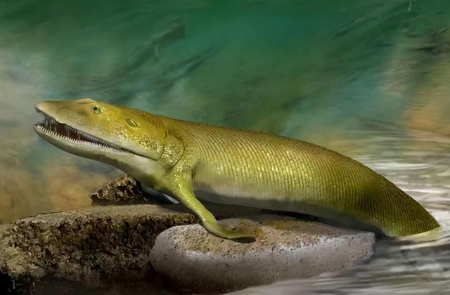 人类的进化史到底是什么样的，人类进化史上有13万年的空白,过程中发生了什么