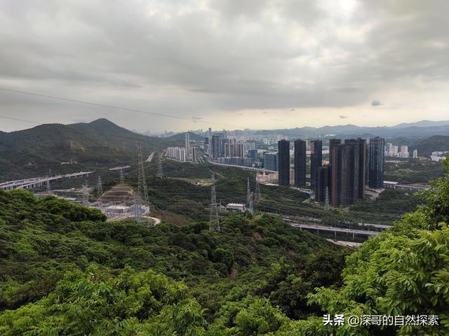 深圳不起眼的山峰，深圳这十座不知名山峰