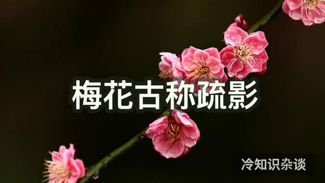 古代雅称全部，古代很多东西的雅称真好听