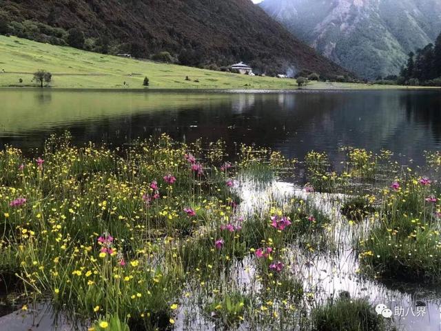 云南旅游交通图，云南自驾游最美线路图一天