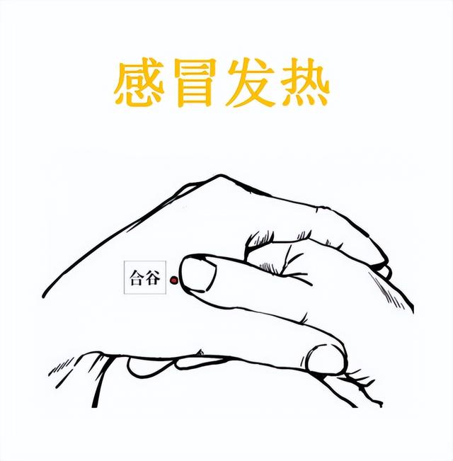 80个主要穴位歌诀值得收藏，经典：中医针灸80穴主治歌诀