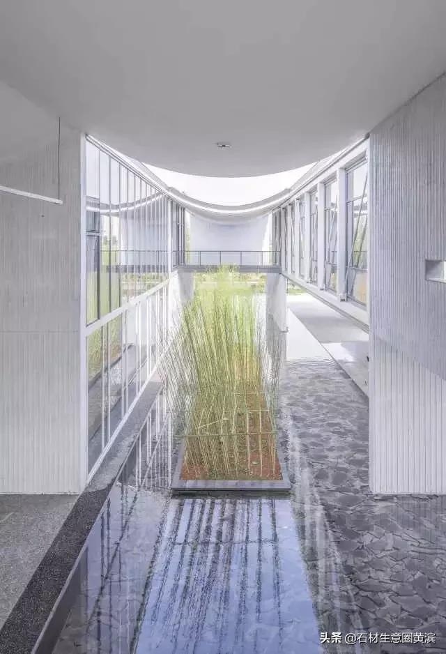 砂岩是什么岩石，泥岩和砂岩页岩的主要区别（哪些岩石中有宝石？—化石）