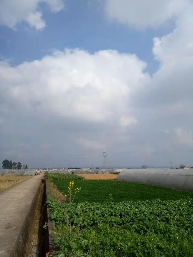 风筝手工制作简单步骤，手把手教你做霸气的手工风筝