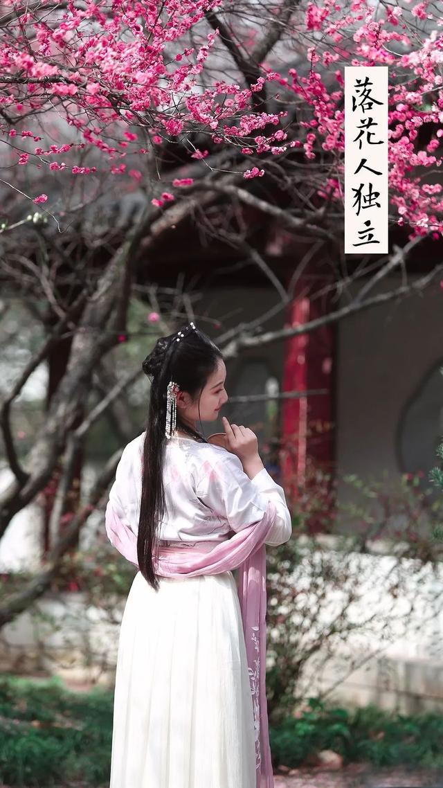 什么梅花品种好，梅花哪个品种比较好看