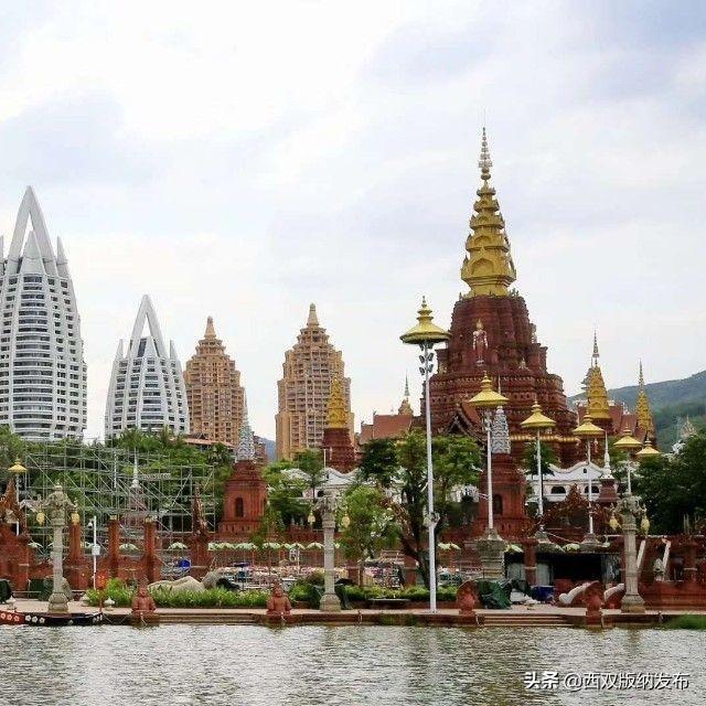 望天树景区跟原始森林去哪个好，望天树景区开园了