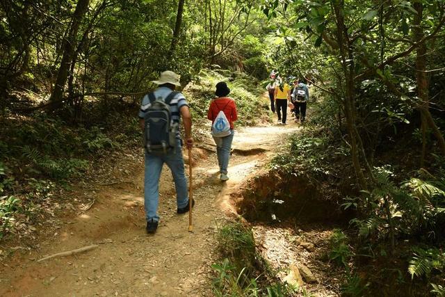 关于深圳梧桐山简介，深圳之巅——梧桐山