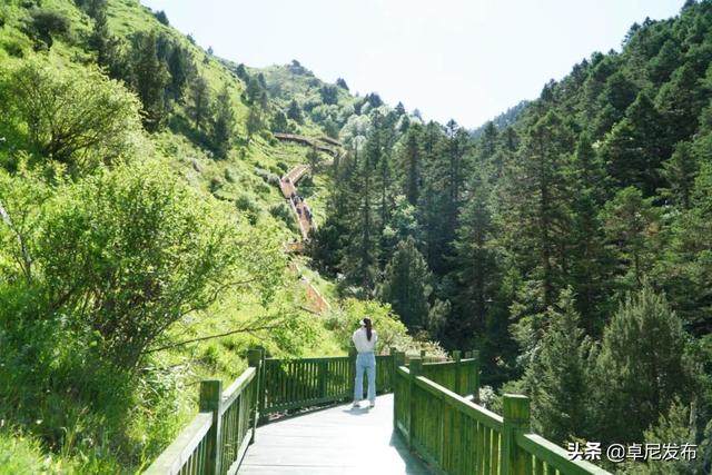 大峪沟旅游风景区介绍，最能治愈人心的便是这世间的绝美风景