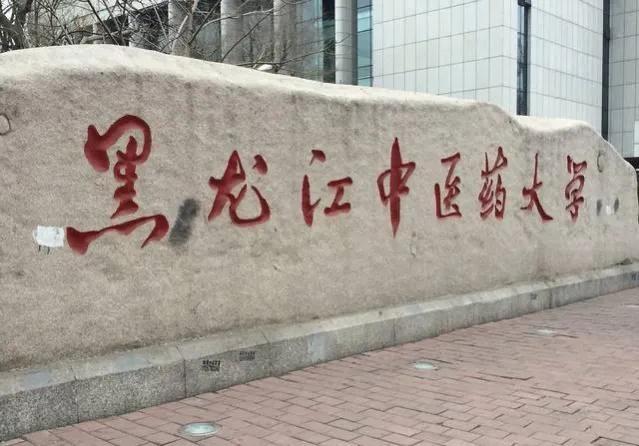 黑龙江大学双一流，黑龙江大学什么时候能评上双一流