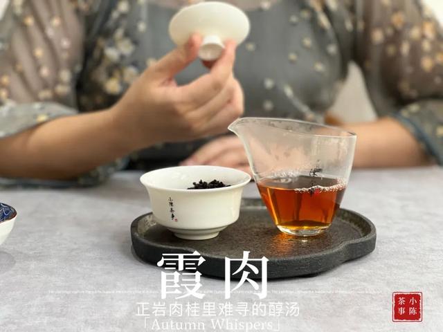 肉桂出汤时间，正岩肉桂里难寻的醇汤