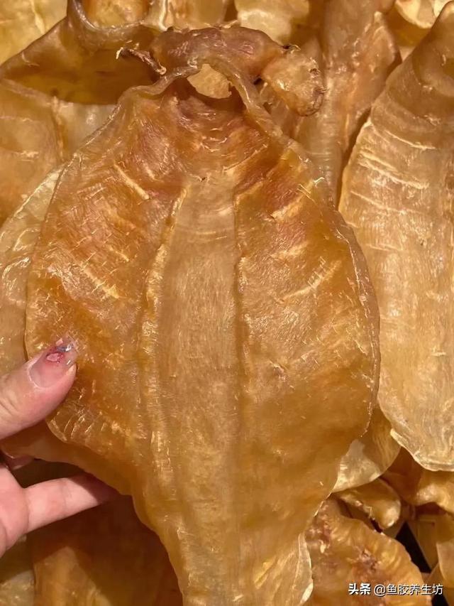 人工合成鱼胶图片，合成鱼胶怎么分辨