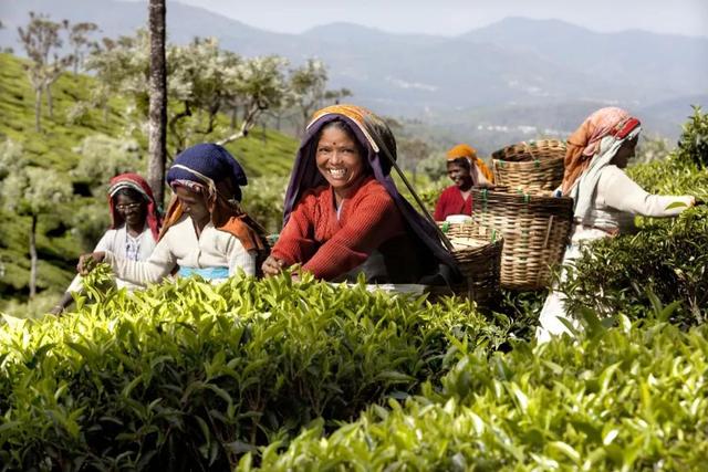 为什么斯里兰卡叫锡兰，近日宣布国家破产的斯里兰卡