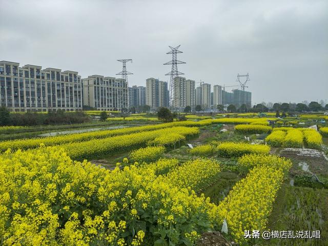 浙江兰溪房价分析图，浙江兰溪楼市的危机