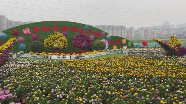 石家庄买房最佳地段，石家庄的秋日买房攻略