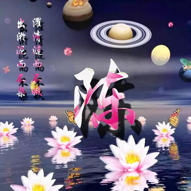 荷花头像图片大全，荷花头像高清图