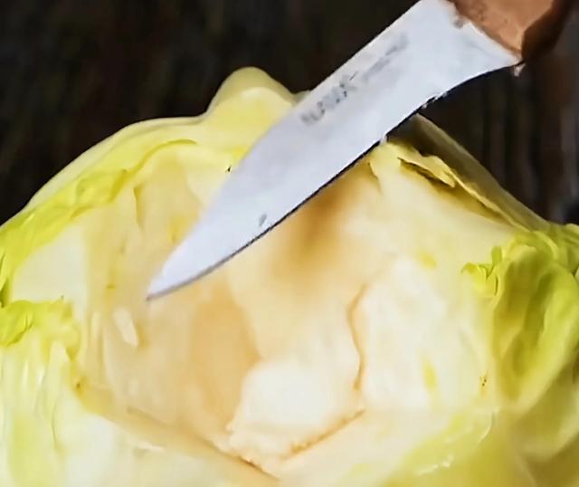 塑料瓶变废为宝，教大家学习塑料瓶变废为宝