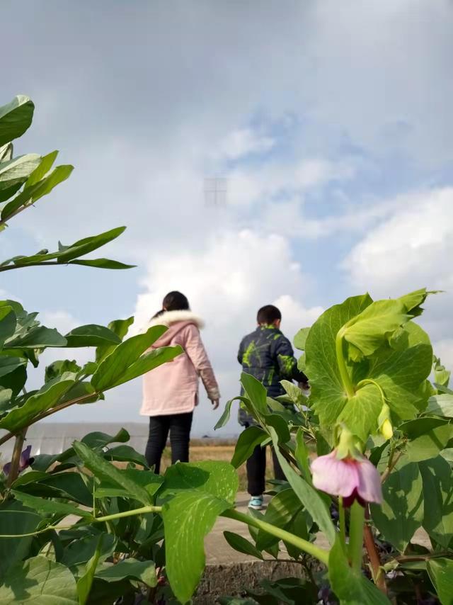 风筝手工制作简单步骤，手把手教你做霸气的手工风筝