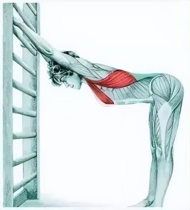 10分钟懒人拉伸训练动作，这6组33个拉伸动作绝了