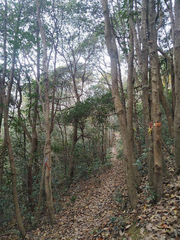 杭州爬山徒步最佳路线轨迹，杭州人的后花园