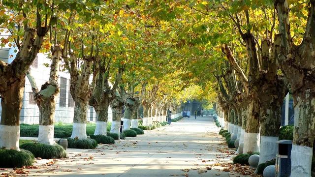 名联欣赏600幅，流传深远的4副千古名联