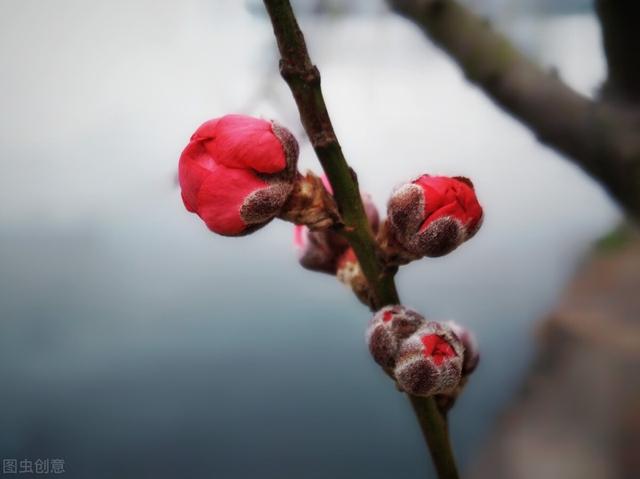 关于新年的诗词，最新关于新年的诗词（和春节有关的古诗词都在这了）