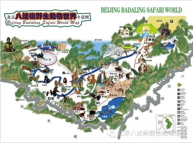 神奇动物去哪里，神奇动物去哪了解（这座城市藏不住了）