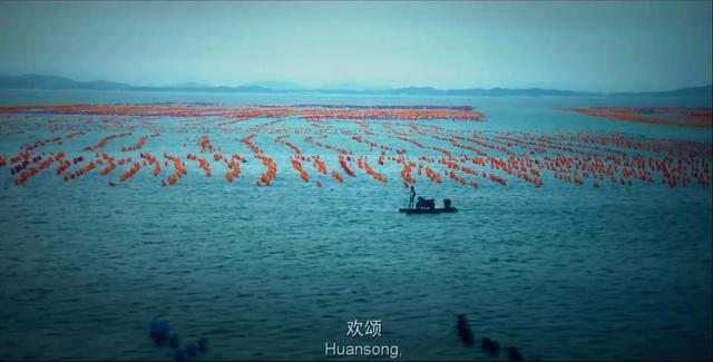 四海电影深度解析，电影《四海》深度解析（为什么说韩寒的《四海》是一部细思极恐的电影）