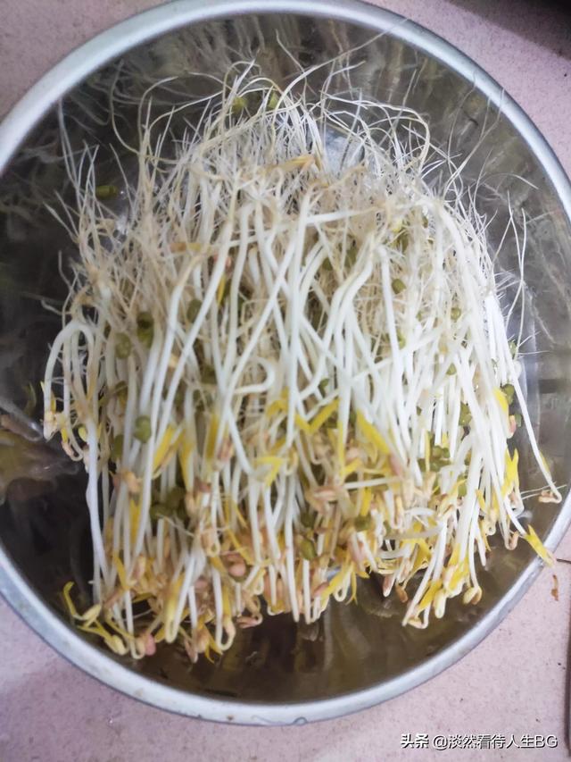 绿豆芽怎么发又粗又快，绿豆芽怎样做才能长的快些（5天就能发出又粗又壮的豆芽）