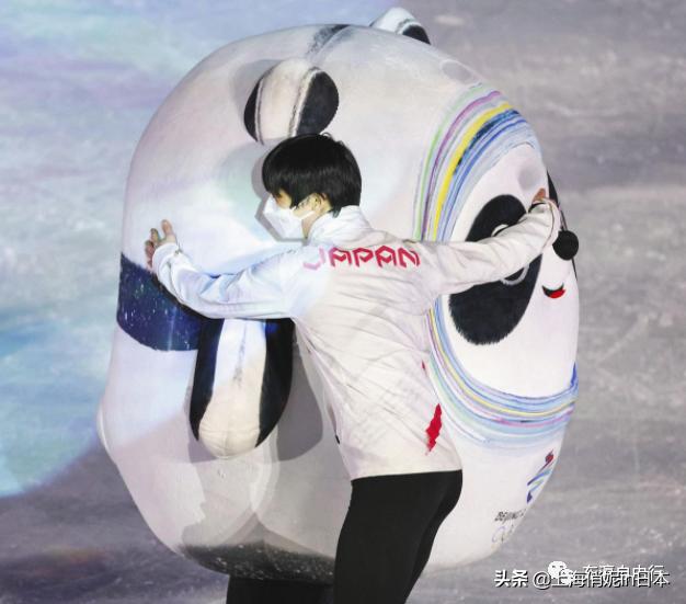 冬奥吉祥物有没有狼，27位吉祥物谁最萌