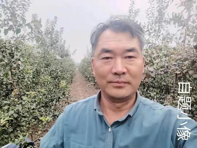 我花开后百花杀全诗，一剪梅全诗赏析（咏梅我花开后百花杀）