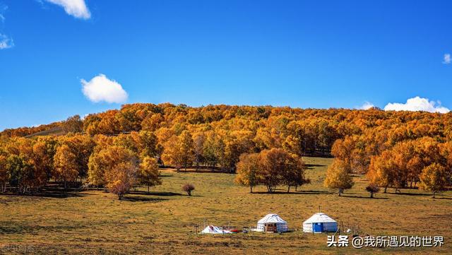 几月份去大草原比较好，七月八月份是草木最茂盛的时候