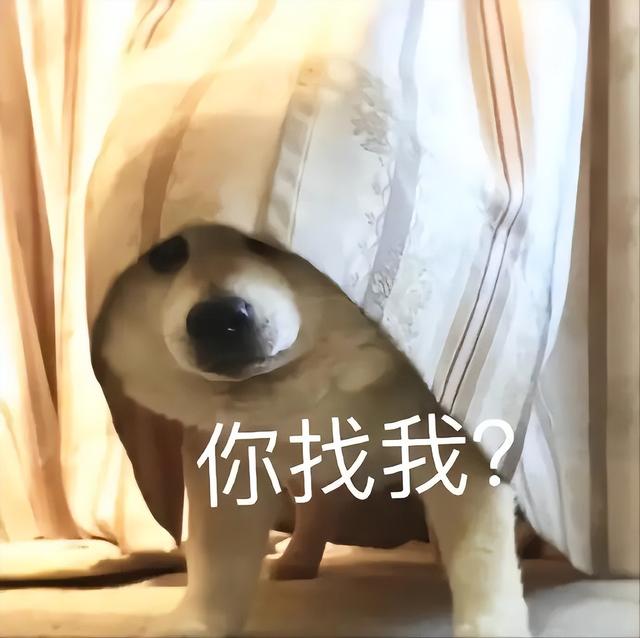 特别困的表情包抖音，表情，为什么你每天这么困