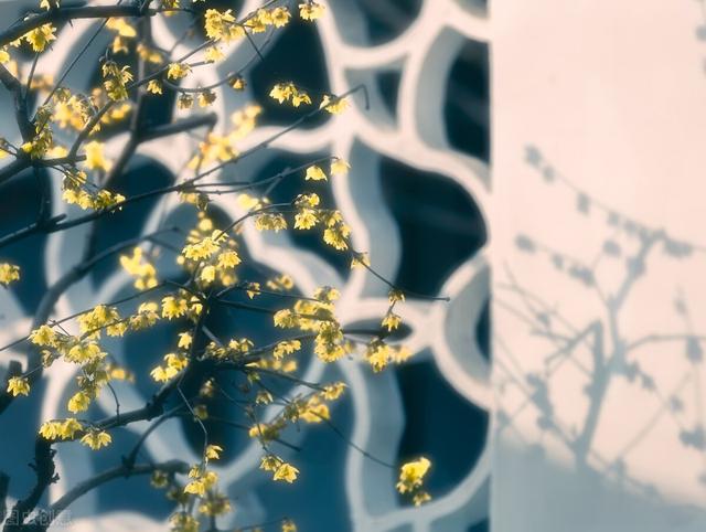 低调奢华有内涵，低调奢华有内涵的你（怎么炫富才最低调奢华有内涵）