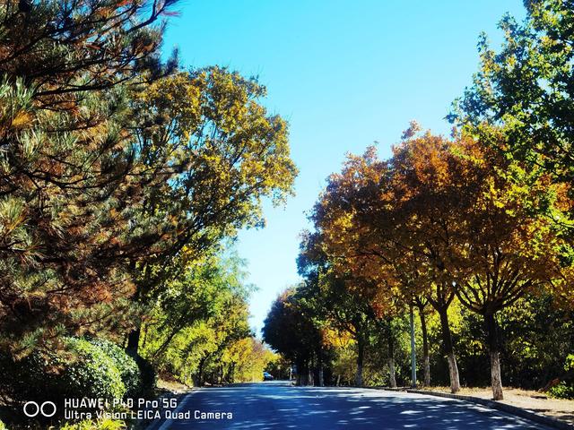 北宫国家森林公园景点介绍，北宫国家森林公园游记