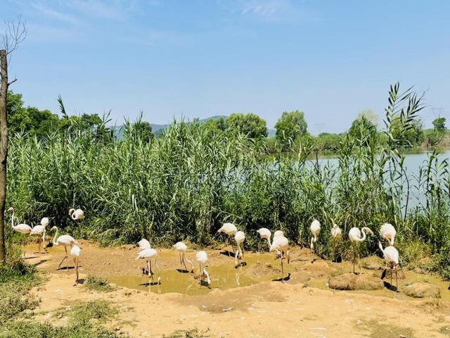 武汉5a景区名单，武汉周边5a景区名单（湖北14个5A景点武汉就占了3个）