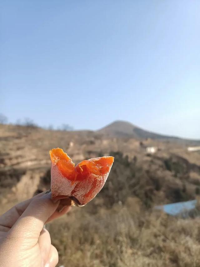 陕西富平吊柿饼，富平吊霜柿饼怎么做