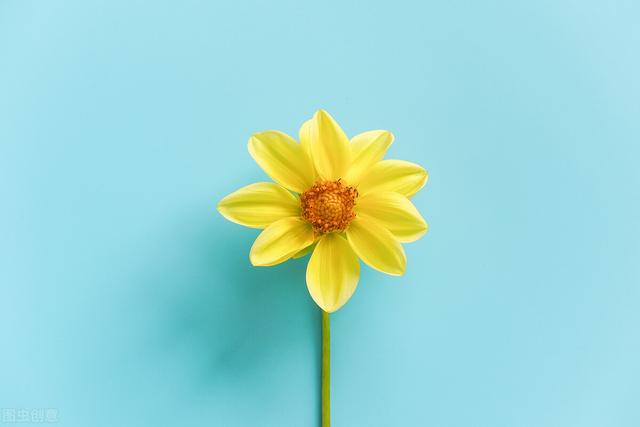 如何增进夫妻感情，夫妻增进感情的7个方法（与日常小事息息相关）