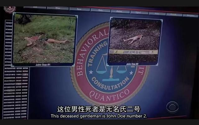 美剧犯罪心理最新季，12月初最新上线的6部黄暴美剧