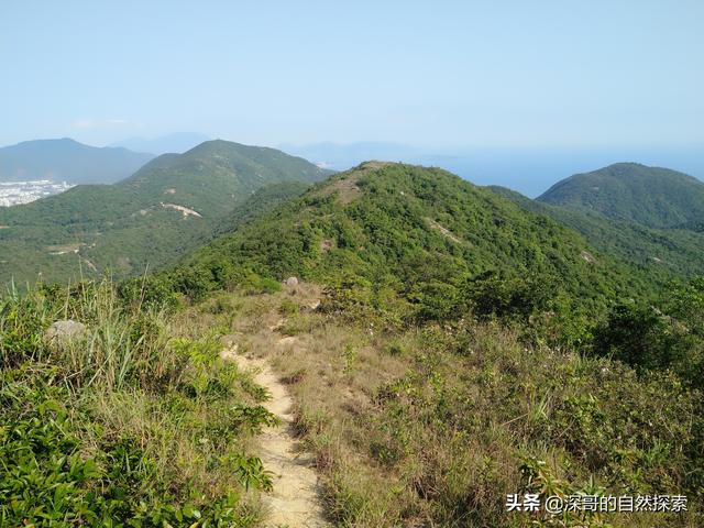 深圳不起眼的山峰，深圳这十座不知名山峰